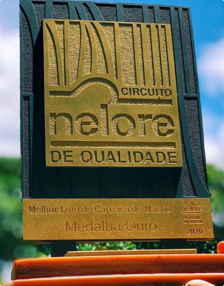 premiacao nelore ol